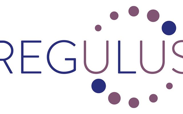 regulus (Demo)